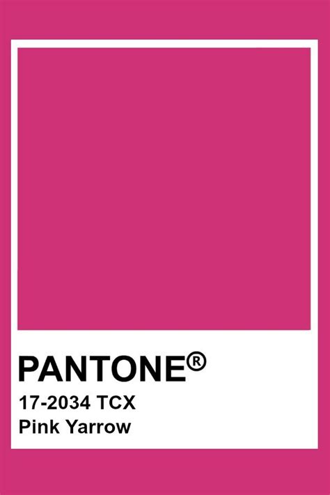 pink yarrow pantone versace|PANTONE PINK YARROW .